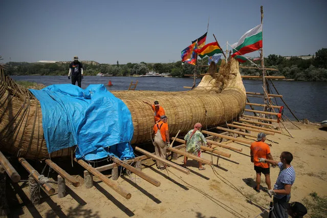 A team, led by German explorer Dominique Goertlitz, assembles a 14-metre long reed boat in the town of Beloslav, Bulgaria, July 3, 2019. (Photo by Stoyan Nenov/Reuters)