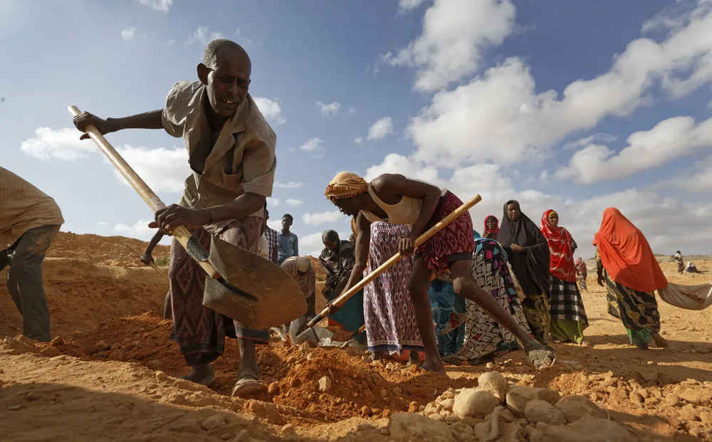 Somalia Drought Crushes Herders' Lives