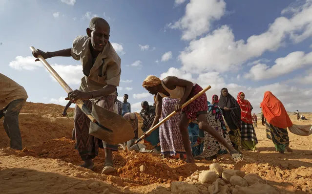 In this photo taken Wednesday, March 8, 2017, men dig with shovels and women take away the earth to build a dam so that if rains do come the water can be stored near Bandar Beyla in Somalia's semiautonomous northeastern state of Puntland. (Photo by Ben Curtis/AP Photo)