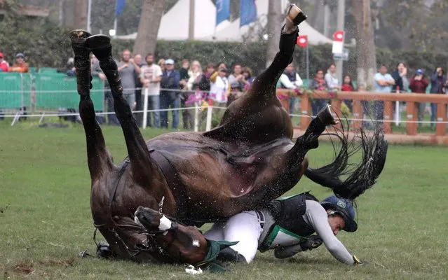 Ballypatrick SRS rolls on the ground after taking a fall with rider Ruy Leme Da Fonseca Fil of Brazil, in the cross country competition of the equestrian eventing, at the Pan American Games in Lima, Peru, Saturday, August 3, 2019. (Photo by Guadalupe Pardo/Reuters)