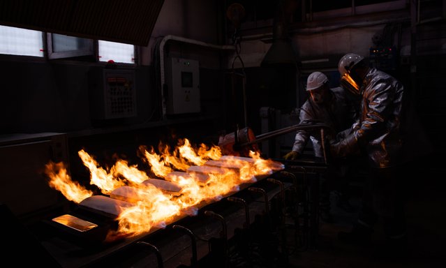 A view of ingots of 99.99 percent pure gold, produced by Krastsvetmet, Russian precious metals company, being processed as the company produces all platinum group metals, gold and silver from mineral and recycled materials, manufactures products industrial products and jewelry, provides industrial engineering services in Krasnoyarsk, Russia on May 23, 2024. The company, one of the world's largest producers of precious metals, focuses on three businesses: refining, jewelry and industrial solutions. (Photo by Alexander Manzyuk/Anadolu via Getty Images)