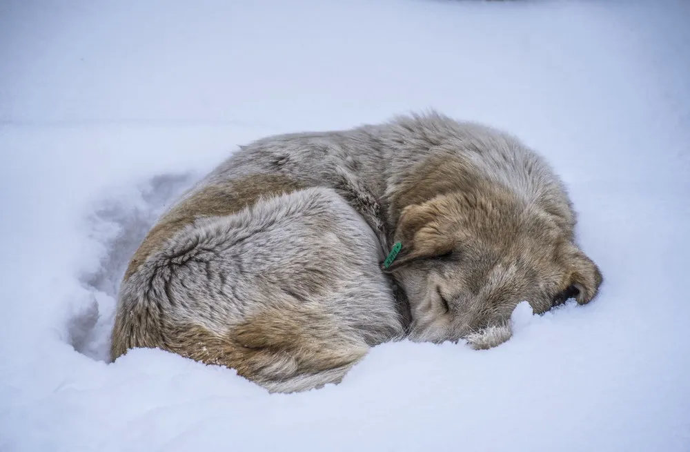 A Look at Life in Turkey