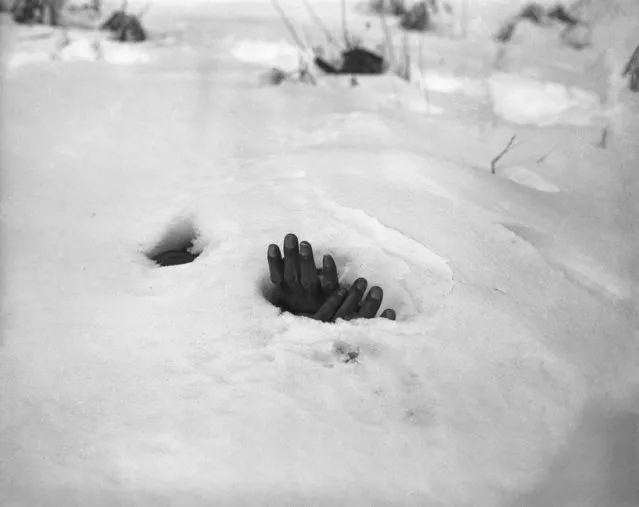 A pair of bound hands and a breathing hole in the snow at Yangji, Korea, January 27, 1951 reveal the presence of the body of a Korean civilian shot and left to die by retreating Communists during the Korean War. (Photo by Max Desfor/AP Photo)