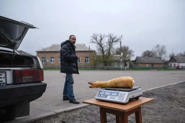 Meat is displayed for sale on a street in Orikhiv, near the southern front of fighting between Ukrainian and Russian forces, south of Zaporizhzhia, on April 19, 2022. The village of Mala Tokmachka, near Orikhiv, illustrates the increase in bombings on the southern front of Ukraine. For several weeks, rockets have been raining down on this village located 70 km from Zaporizhzhia, the region's largest city. One of the schools has been ripped open, as is the building where the teachers are housed, and cultural centre bears a hole. (Photo by Ed Jones/AFP Photo)