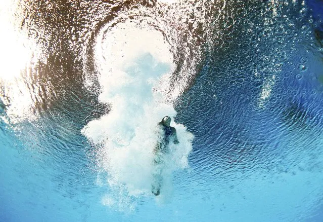 Minami Itahashi of Japan is seen underwater during the women's 10m platform semi final at the Aquatics World Championships in Kazan, Russia July 29, 2015. (Photo by Stefan Wermuth/Reuters)