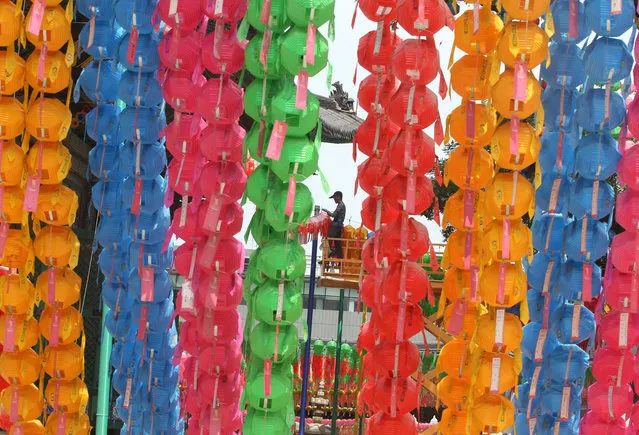 A worker removes lanterns following Buddha's birthday celebrations at the Chogye Temple in Seoul, South Korea, Monday, June 13, 2016. Similar lanterns are annually displayed in all Buddhist temples around South Korea for the public viewing. (Photo by Ahn Young-joon/AP Photo)