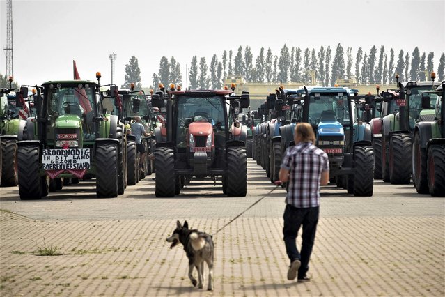 Farmers take their tractors to the streets for a protest against a new industrial plant of Ineos in Antwerp, on August 18, 2023. The collective 'Farmers Defence Force' (FDF) is heading to Antwerp with around a thousand supporters. From the Brecht region and from the Kempen region, supporters will gather for a protest at Park Spoor Oost. They specifically choose Antwerp as the site of action because they claim N-VA is rolling out the red carpet for Ineos' new factory here. (Photo by Kristof Van Accom/Belga via AFP Photo)