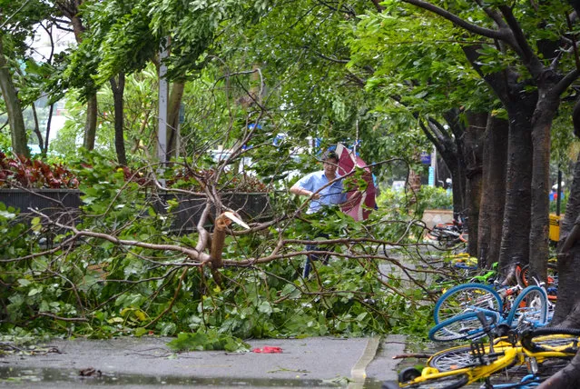 A man walks among tree branches broken by strong winds brought by Typhoon Hato in Shenzhen, Guangdong province, China on August 23, 2017. (Photo by Reuters/China Stringer Network)