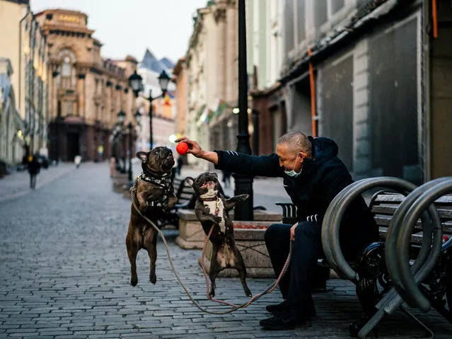 A man plays with his dogs on a street in central Moscow on April 13, 2020 during a strict lockdown in Russia to stop the spread of the COVID-19, caused by the novel coronavirus. President Vladimir Putin on April 13, 2020, warned officials to brace for “extraordinary” scenarios in the coronavirus pandemic as Moscow tightened its lockdown measures and Russia reported its highest daily infection figures yet. (Photo by Dimitar Dilkoff/AFP Photo)