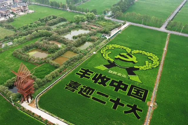This aerial photo taken on August 31, 2022 shows an image welcoming the 20th Communist Party Congress, created by growing different varieties of rice, in a paddy in Hangzhou, in China's eastern Zhejiang province. (Photo by AFP Photo/China Stringer Network)