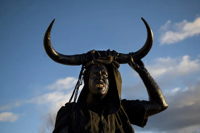 A man, covered in oil and soot carrying bull horns on his head and cowbells on a belt representing the devil, pauses while participating in carnival celebrations in the small village of Luzon, Spain, Saturday, February 9, 2013. (Photo by Daniel Ochoa de Olza/AP Photo)