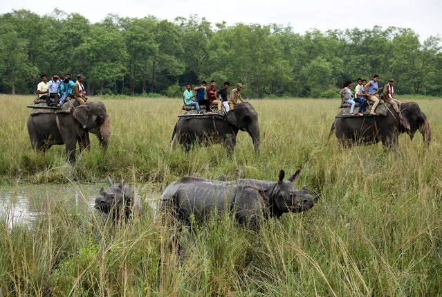 Tourists ride on elephants as they watch one-horned rhinoceros inside the Pobitora Wildlife Sanctuary in Morigaon district, in Assam, India October 2, 2017. (Photo by Anuwar Hazarika/Reuters)