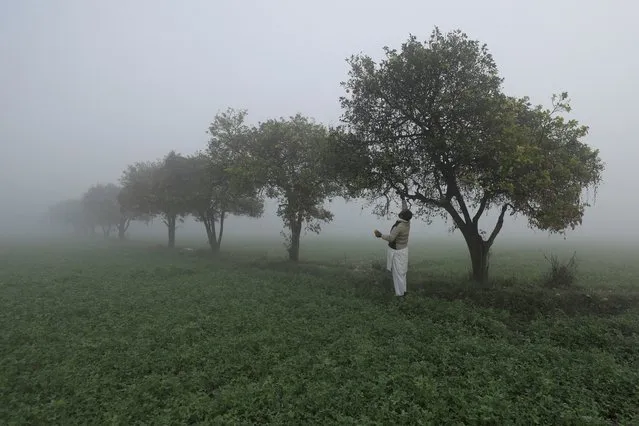 A man collects oranges from a tree amid fog during morning hours in Peshawar, Pakistan, January 10, 2022. (Photo by Fayaz Aziz/Reuters)