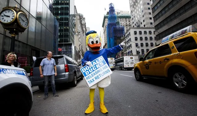 A person in a duck costume hails a taxi in front of the Trump Tower as part of a political stunt to draw attention to Republican presidential candidate Donald Trump's decision to not release his tax returns in New York, New York, USA, 18 August 2016. Most candidates running for president of the United States in the last thirty years have released their tax returns. (Photo by Justin Lane/EPA)