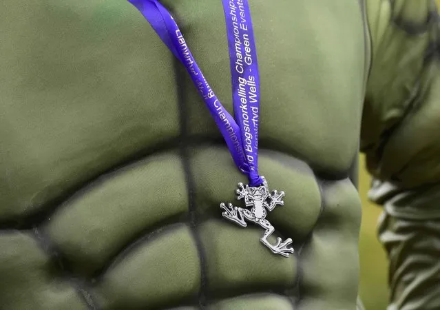 A competitor wears his medal for competing in the 31st World Bog Snorkelling Championships, held annually at Llanwrtyd Wells in Wales, Britain August 28, 2016. (Photo by Rebecca Naden/Reuters)