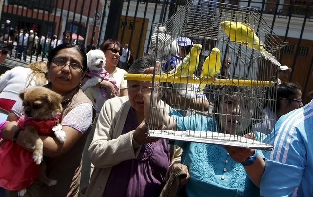Owners hold their pets as they wait for blessings outside the San Francisco church in Lima, October 4, 2015. (Photo by Mariana Bazo/Reuters)