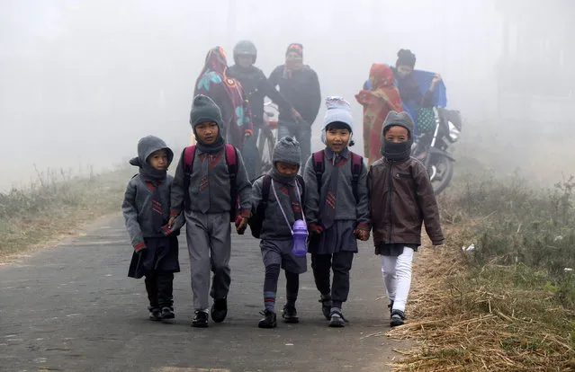 Students walk towards their school on a foggy winter morning on the outskirts of Agartala, India, January 12, 2018. (Photo by Jayanta Dey/Reuters)