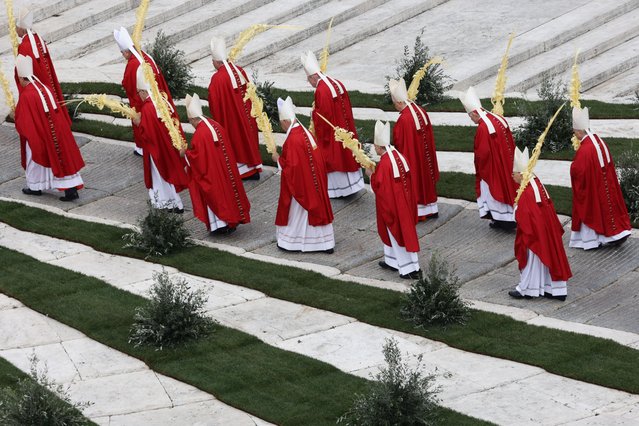 Bishops walk with palms during the Palm Sunday mass at Saint Peter's Square in Vatican on March 24, 2024. (Photo by Jakub Porzycki/NurPhoto/Rex Features/Shutterstock)