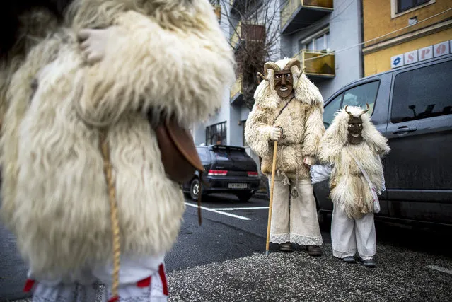 A reveler and his kid wear sheepfur costumes with horns and masks as they participate in a march of the busos in Mohacs, 189 kms south of Budapest, Hungary, on the opening day of the festival, 08 February 2018. The carnival parade of people, the so-called busos, dressed in sheepfur costumes and frightening wooden masks, using various noisy wooden rattlers is traditionally held on the seventh weekend before Easter to drive away winter. The parade is a revival of a legend, which says that ethnic Croats ambushed the Osmanli Turkish troops, who escaped in panic seeing the terrifying figures during the Turkish occupation of Hungary. (Photo by Tamas Soki/EPA/EFE)