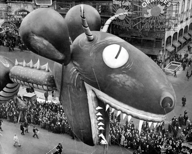 Sea serpent (surprise! it's only a big balloon!) swoops down on crowds watching thirteenth annual Macy's Thanksgiving Day parade on Broadway and 56th St.  (Photo by Walter Kelleher/NY Daily News Archive via Getty Images)