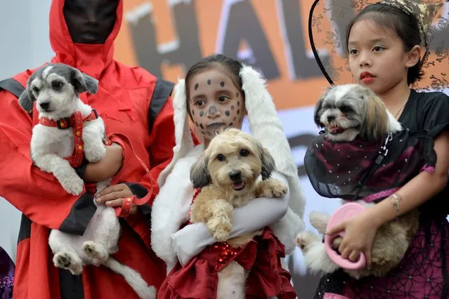 Children in costumes carry their pet dogs during a Halloween party for pets and kids at the Eastwood Mall in Quezon city, Metro Manila, October 24, 2015. (Photo by Ezra Acayan/Reuters)