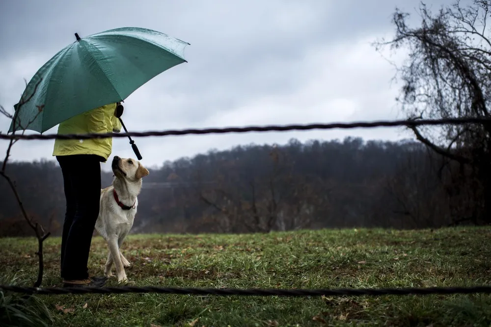 Simply Some Photos: Under an Umbrella