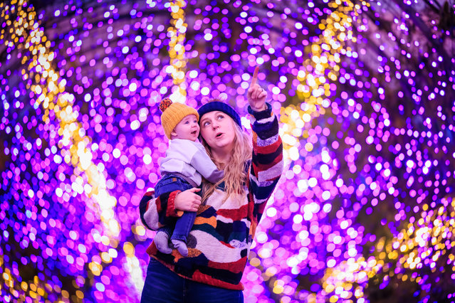 Roxy Dixon, 33 and son Taylor, 6 months, pictured admiring the colourful Christmas lights along Wisteria whilst dodging the showers last night along Wisteria Walk at RHS Garden Wisley in Surrey, UK on December 7, 2025 as part of “Glow” the Christmas Light trail which runs until 4th Janurary. (Photo by Oliver Dixon)