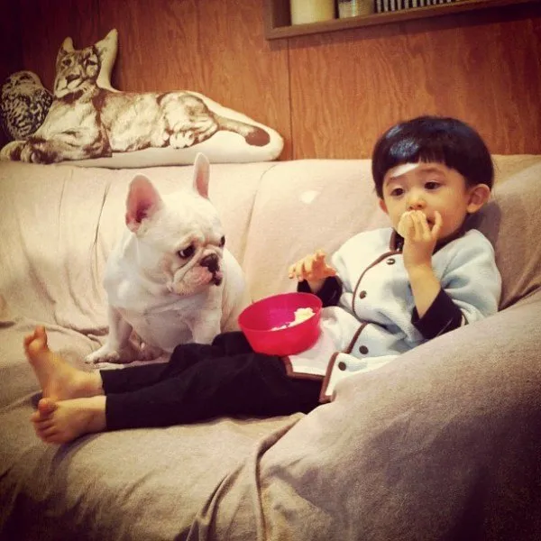 Japanese Boy and His Bulldog