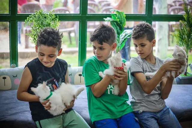 Boys hold felines at the newly inaugurated Cat Cafe in Gaza City on August 17, 2023. (Photo by Mohammed Abed/AFP Photo)
