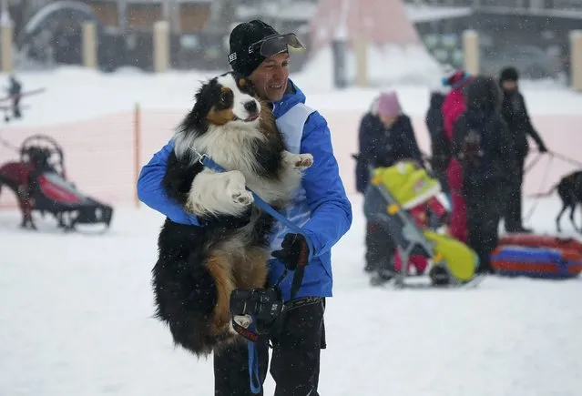 A competitor holds his dog after a sled and skijoring race in the village of Kadnikovo outside Yekaterinburg, Russia, December 10, 2016. (Photo by Maxim Shemetov/Reuters)