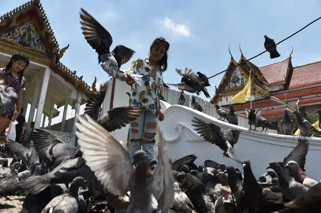 Two girls feed pigeons at the Wat Rakang Temple in Bangkok, Thailand on May 4, 2018. A Thai district chief has clipped the wings of his town's pigeon population by paying residents to trap the birds and organising a cook-off to build support for the cull. The campaign to go after hundreds of thousands of pigeons started earlier this week in the district of Lop Buri province – a region better known for its monkey menace. (Photo by Lillian Suwanrumpha/AFP Photo)