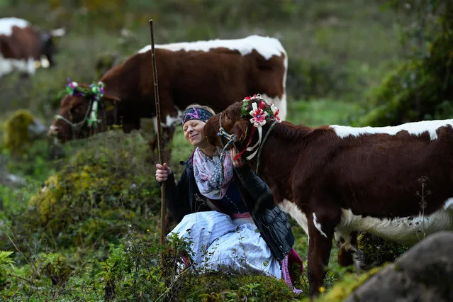 A young woman takes cows to a boat that takes them over the Koenigssee Lake during the annual ceremonial cattle drive, called an Almabtrieb, on October 6, 2018 at Schoenau am Koenigssee near Berchtesgaden, Germany. Farmers herd the cattle down from alpine, summer pastures and transport them across Koenigssee lake in order to bring them to barns for the winter. (Photo by Andreas Gebert/Getty Images)