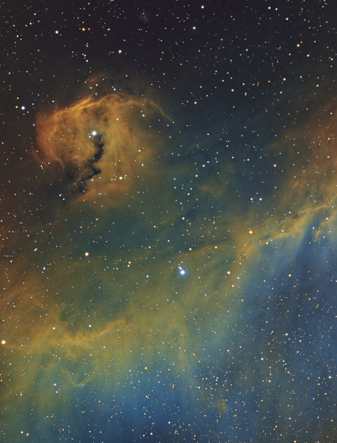 IC2177 the Seagull Nebula is in the constellation Monoceros, and is approximately 3600 light years away. This also includes  NGC 2327 a compact, dusty emission region with an embedded star that forms the bird’s head also known as the Parrot Nebula. (Bill Snyder)