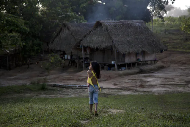 In this March 16, 2015 photo, an Ashaninka Indian girl walks to her home in the hamlet of Saweto, Peru. Illegal logging persists unabated in this remote Amazon community where four indigenous leaders who resisted it were slain in September. Since then, several dozen people have moved away out of fear, some to Pucallpa, others to a sister Ashaninka village across the border in Brazil. (Photo by Martin Mejia/AP Photo)