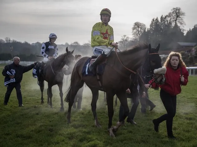 Horses are led back to the parade ring following the second race during the 2016 Coral Welsh Grand National at Chepstow Racecourse on December 27, 2016 in Chepstow, Wales. Traditionally, the Christmas holiday meets are often the busiest of the racing calendar for an industry, that the British Horseracing Authority estimates is worth over £3.45 billion annually to the national economy and responsible for 85,000 direct and indirect full-time jobs. (Photo by Matt Cardy/Getty Images)