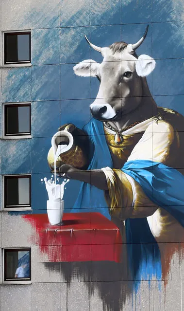 A photograph made available on 04 March 2016 showing a mural depiting a cow pouring milk into a glass painted on a multistorey housing block in Kempten, southern Germaany, 02 March 2016. (Photo by Karl-Josef Hildenbrand/EPA)