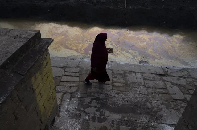 A Hindu devotee arrives to perform rituals by a polluted Hanumante river during Madhav Narayan festival in Bhaktapur, Nepal, Thursday, January 25, 2024. (Photo by Niranjan Shrestha/AP Photo)