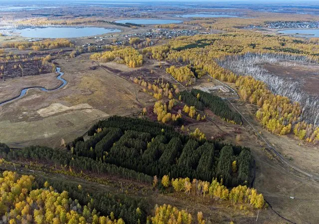 An aerial view shows a forest formation reading “Lenin” planted in 1970 to mark the 100th anniversary of the birth of Vladimir Lenin, founder of the Soviet state, near the town of Tyukalinsk in Omsk Region, Russia on October 6, 2021. Picture taken with a drone. (Photo by Alexey Malgavko/Reuters)