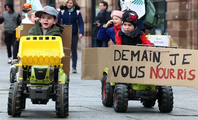 A placard reading “Tomorrow I will feed you” is seen as farmers' daughters and sons march on pedal tractors in support of their parents in Strasbourg, eastern France, on 31 January 2024, as part of national demonstrations organised by several farmers' unions on wages, taxes and regulations. (Photo by Frederick Florin/AFP Photo)