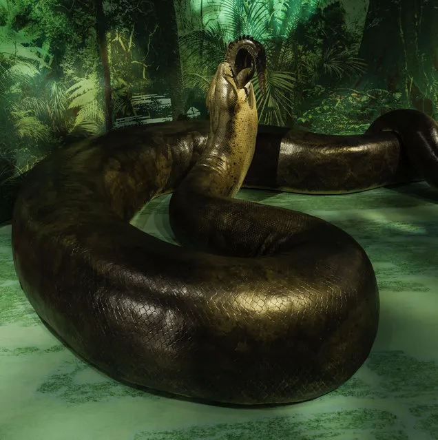 Titanoboa: Monster Snake