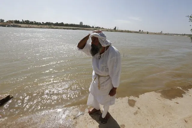 A Mandaean worshipper performs religious rituals in the Tigris river during the Benja festival in Baghdad, Iraq March 16, 2016. (Photo by Ahmed Saad/Reuters)