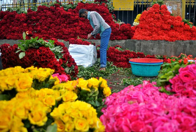 A vendor arranges roses as he waits for customers at a wholesale flower market in Bengaluru, India November 16, 2016. (Photo by Abhishek N. Chinnappa/Reuters)