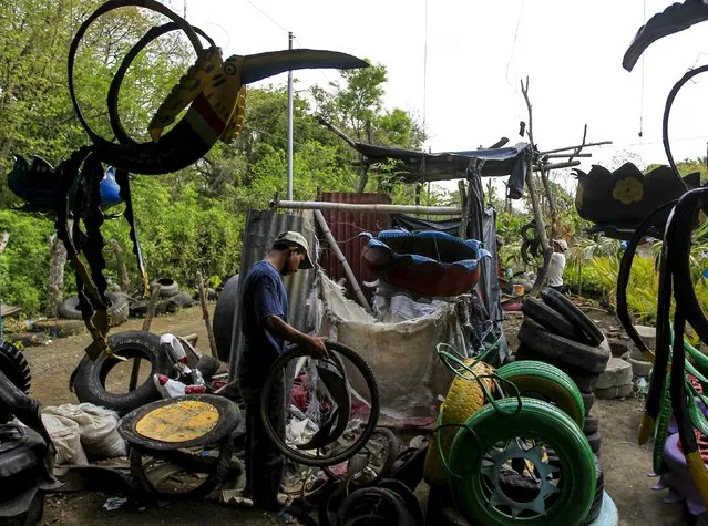 Josue Salazar (19), a student of agronomy, searches for a recycled tyre to make a bird figurine at a shop near Catarina town May 7,2015. Salazar recycles used tyres to make bird figurines and sofas to sell in his shop located on the Panamerican highway. (Photo by Oswaldo Rivas/Reuters)