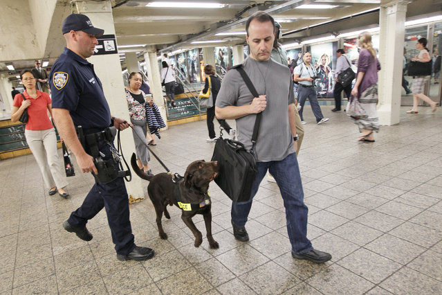 In this Friday, July 1, 2011 photo a New York City police officer with a bomb sniffing dog patrols at a Times Square subway station in New York. Since terrorists brought down the twin towers on September 11, 2001, subways have been bombed across the world, including Madrid, London and this spring in Minsk. The possibility that New York’s sprawling, porous and famously gritty subway system could be next has become a constant worry. (Photo by Mary Altaffer/AP Photo)