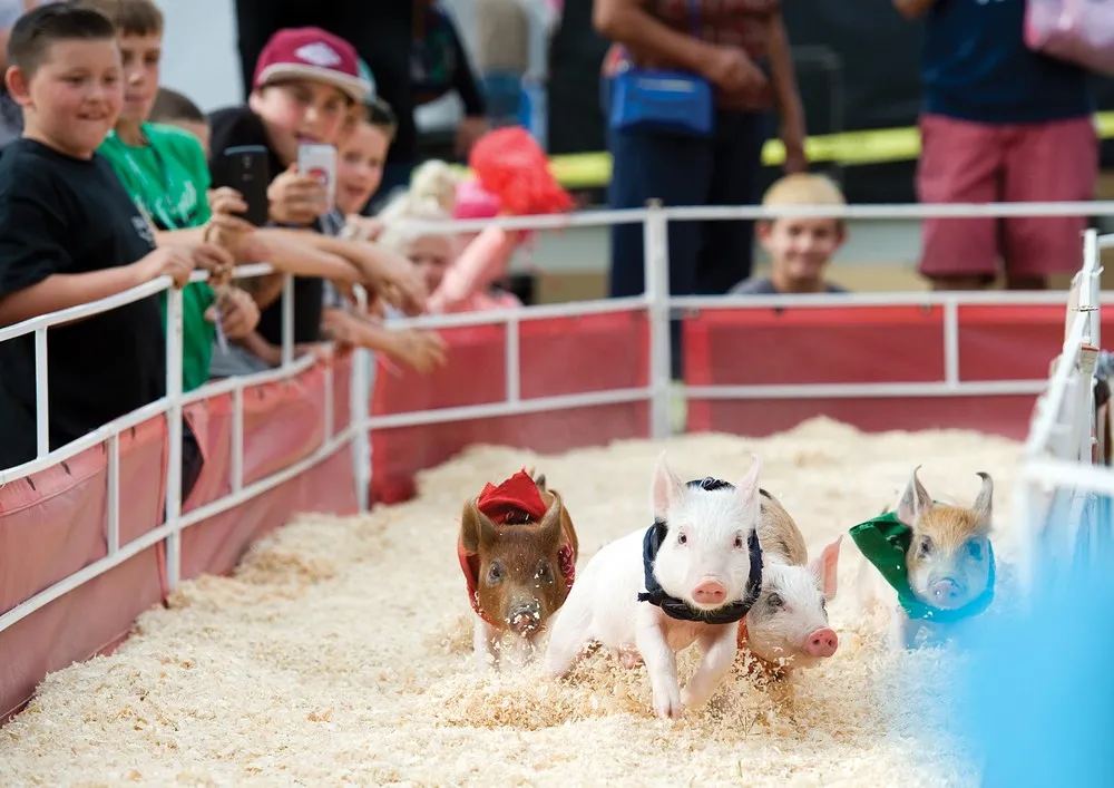 The Week in Pictures: May 15 – May 22, 2015. Part 1/5