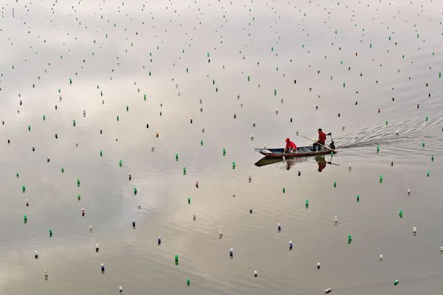 Workers sail a boat on the surface of the water of a pearl mussels farm in Jiujiang, in central China's Jiangxi province on June 15, 2024. (Photo by AFP Photo/China Stringer Network)