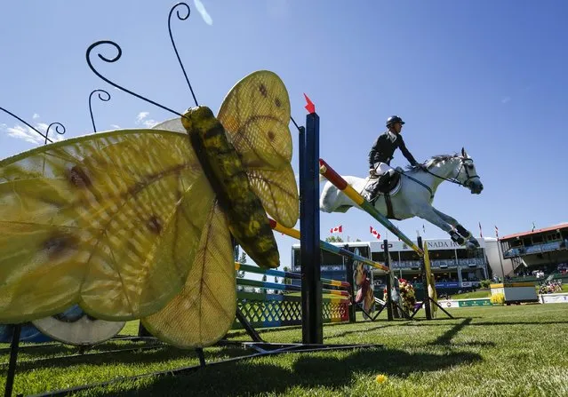 Richard Spooner of the USA, riding Cornancer, competes during the National show jumping event at Spruce Meadows in Calgary, Canada, Sunday, June 12, 2016. (Photo by Jeff McIntosh/The Canadian Press via AP Photo)