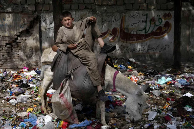 An Afghan child sits on his donkey in Kabul, Afghanistan, Thursday, April 28, 2022. (Photo by Ebrahim Noroozi/AP Photo)