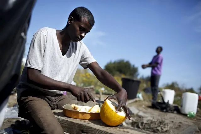Ali from Sudan cuts a melon at “The New Jungle” camp in Calais, France, August 8, 2015. (Photo by Juan Medina/Reuters)