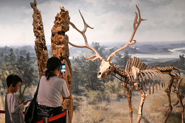 Visitors visit the Nanjing Museum in Nanjing, East China's Jiangsu province, September 26, 2024. By the end of August 2024, the 6,833 museums officially registered in China have received 940 million visitors. (Photo by CFOTO/Future Publishing via Getty Images)